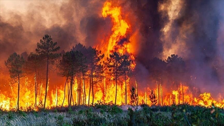 المغرب يكافح النيران لليوم الثالث في غابة هوارة: جهود مكثفة لمواجهة الحرائق المتفاقمة