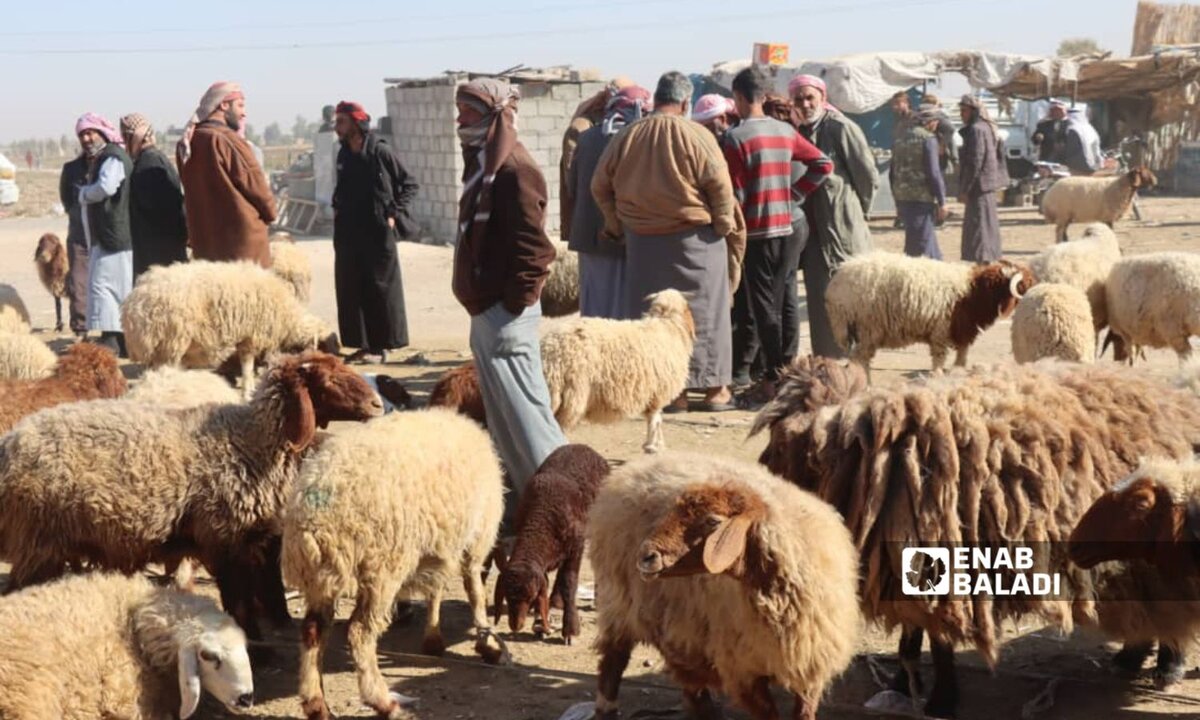 دمشق تنظم ذبح الأضاحي وتحدد شروطًا صحية وسط ارتفاع أسعار اللحوم