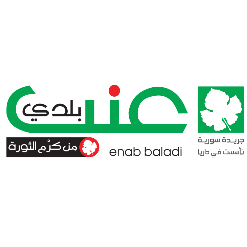 إدلب: ولادة نادرة لستة توائم تسلط الضوء على أزمة نقص الحاضنات في المشافي