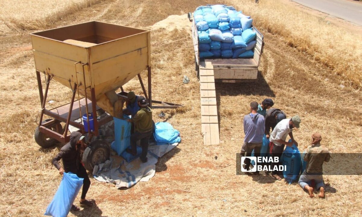 قرار حكومي يمنع استيراد القمح إلى سوريا خلال موسم 2025 لحماية المنتج المحلي