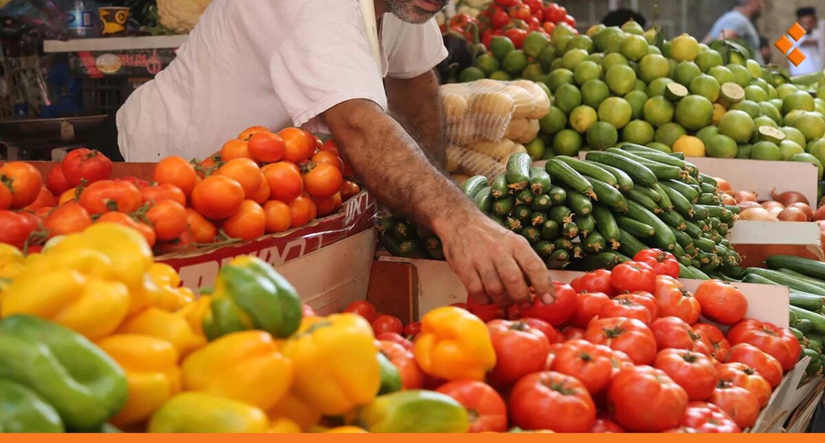 انخفاض أسعار الخضار في دمشق بنسبة 25%.. هل يصبح الشراء في متناول الجميع؟