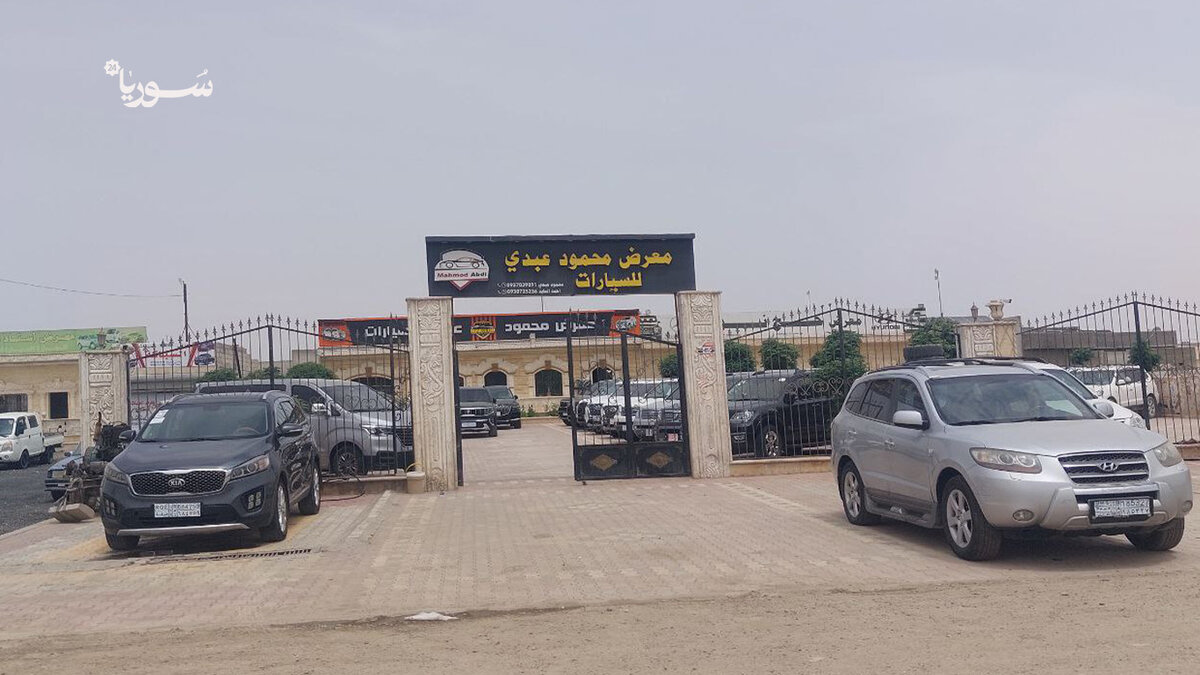الرقة: قيود الإدارة الذاتية تخنق سوق السيارات وتكبّد التجار خسائر فادحة
