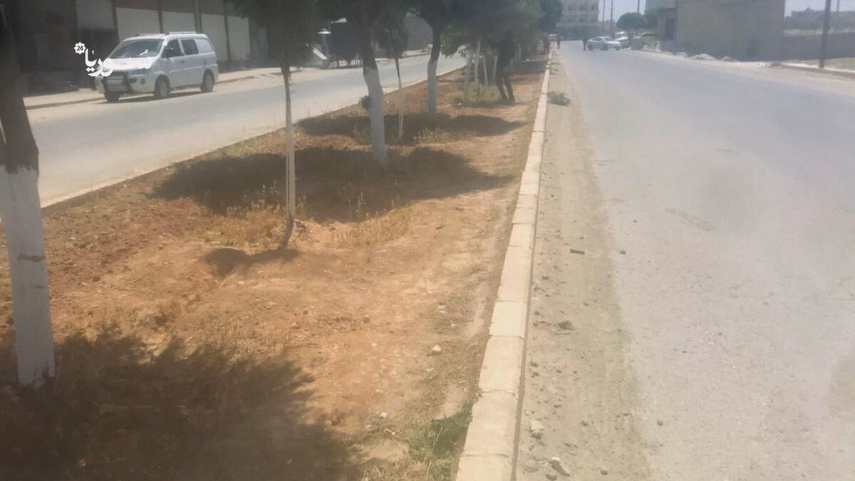 مبادرة "مدينتي أجمل" تطلق حملة واسعة لتحسين النظافة والتشجير في منبج