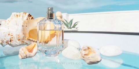 دليل الأناقة الصيفية: اكتشفي عطركِ المثالي لإطلالة لا تُنسى هذا الموسم