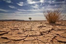 سوريا تواجه خطر الجفاف: هل تتخذ طرطوس إجراءات استثنائية لمواجهة الأزمة؟
