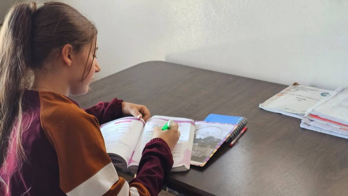 ازدهار اللغة الكردية في سوريا يواجه تحديات الاعتراف: هل تنجح جهود الحفاظ على الهوية؟