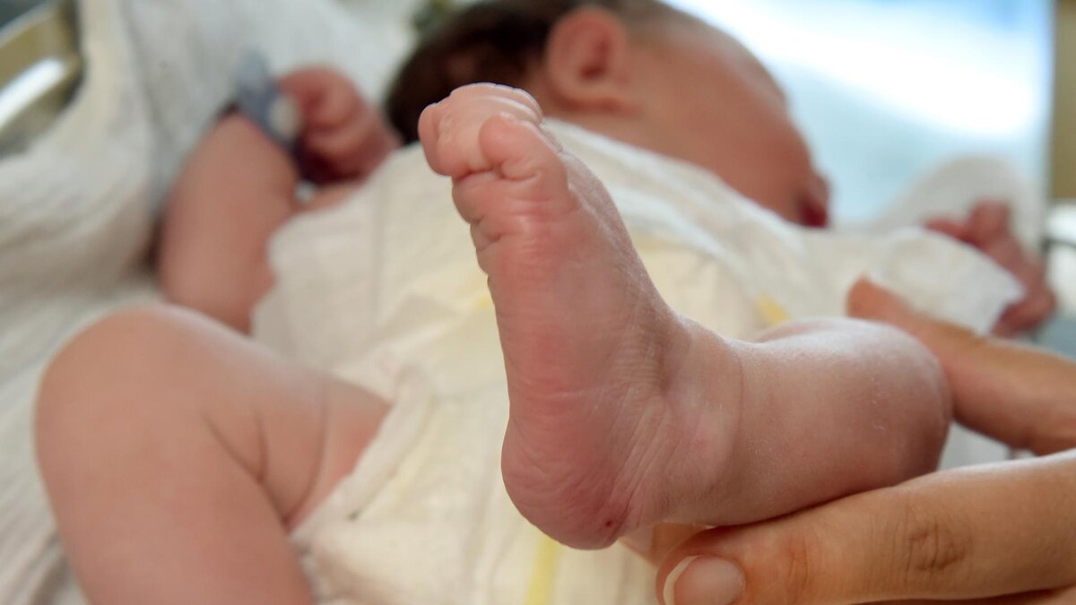 ولادة مُعجزة على الطريق السريع في ألمانيا: زوج يُنجب زوجته بتوجيهات هاتفية من الإسعاف!