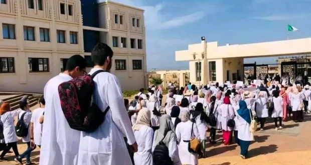 الجزائر تتجه نحو الإنجليزية في كليات الطب: تحول استراتيجي يواكب التطورات العلمية
