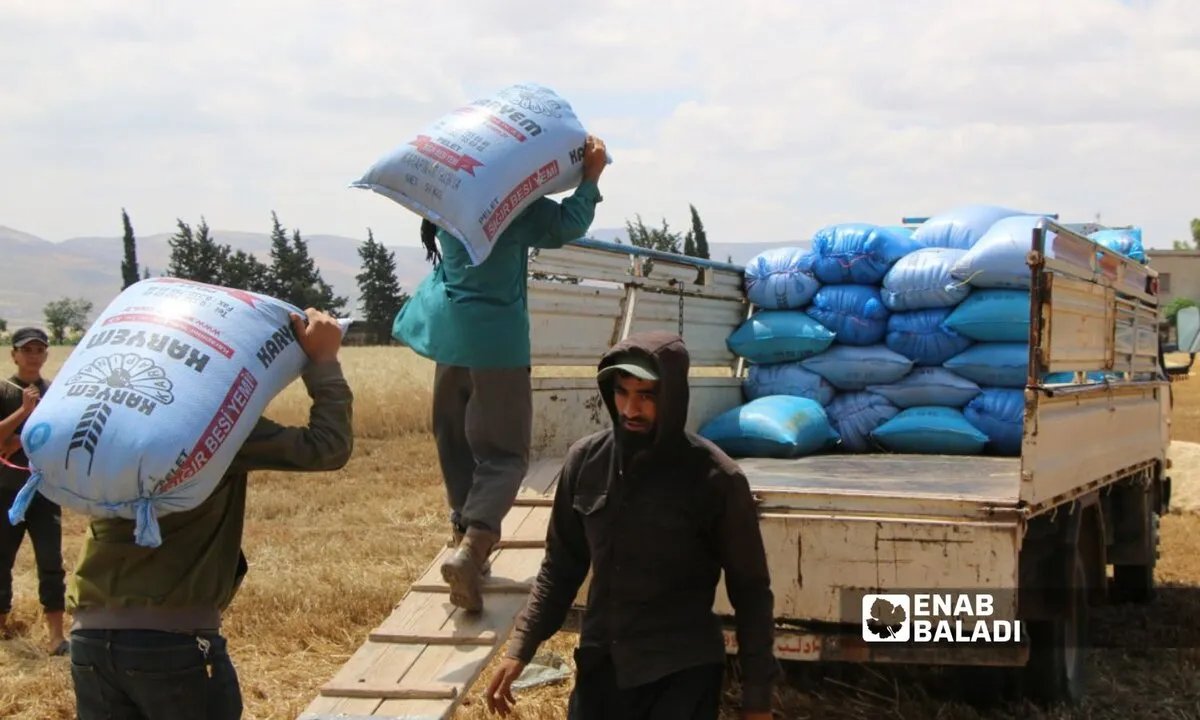 أزمة قمح في سوريا: وصول 50 ألف طن لتلبية جزء من الاحتياجات المتزايدة