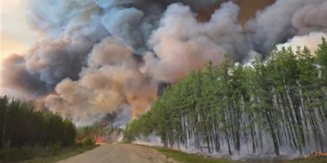 حرائق الغابات تلتهم كندا: الآلاف يتركون منازلهم والدخان يصل أوروبا