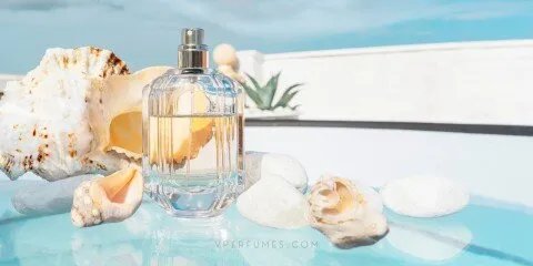 دليل الأناقة الصيفية: اكتشفي عطركِ المثالي لإطلالة لا تُنسى هذا الموسم