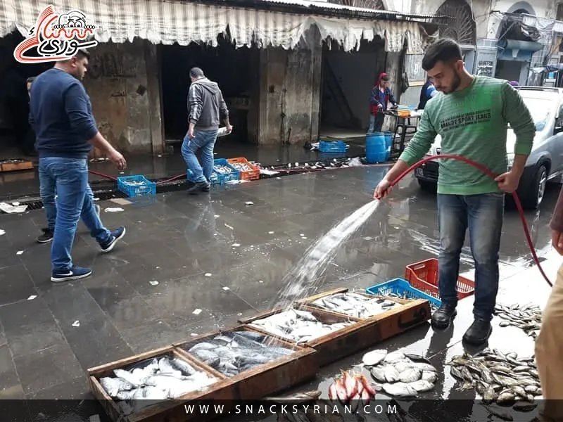 كارثة في اللاذقية: وفاة طفل بتسمم سمكة البالون.. ما هي المخاطر وكيف نحمي أنفسنا؟