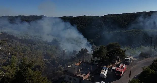 اللاذقية: فرق الإطفاء تكافح أكثر من 10 حرائق حراجية في الريف وسط صعوبات جمة