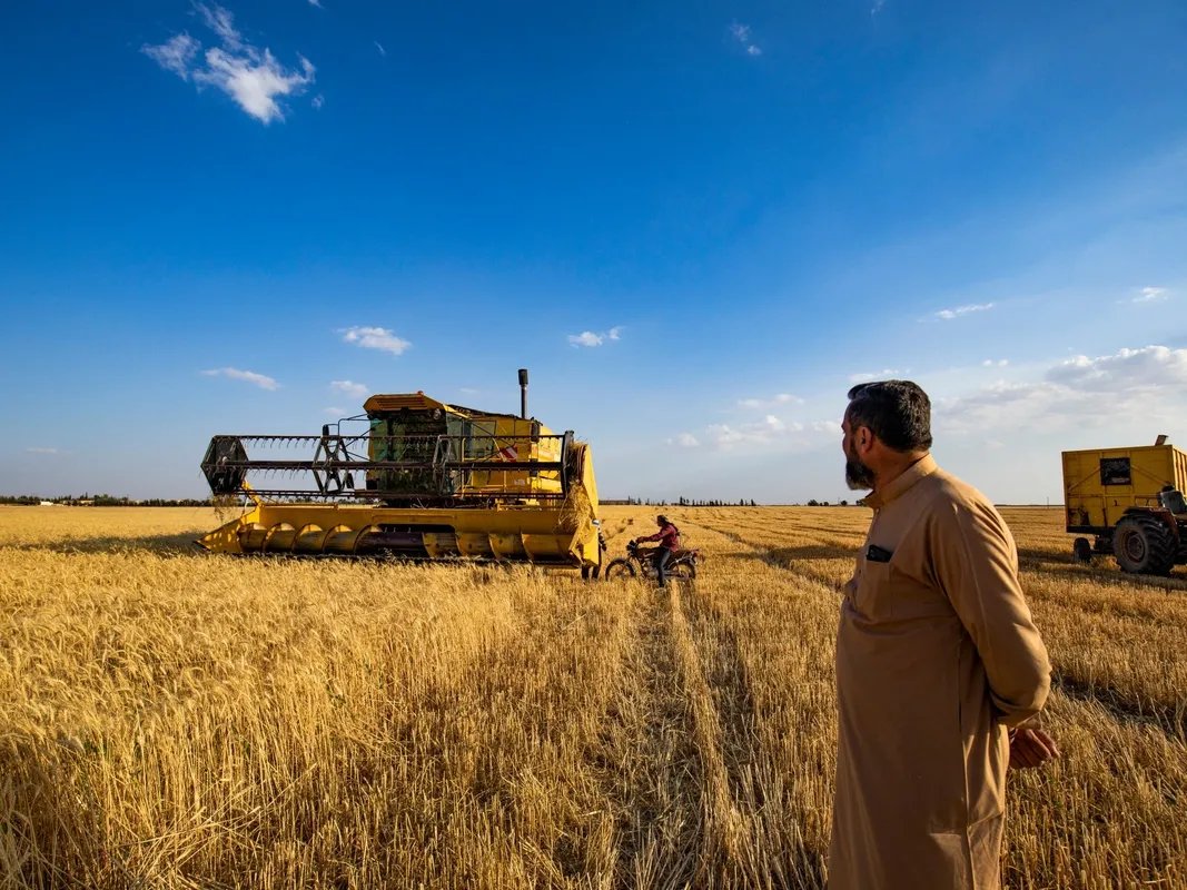 الإدارة الذاتية تُسهّل تصدير المحاصيل الزراعية في شمال وشرق سوريا بشروط جديدة