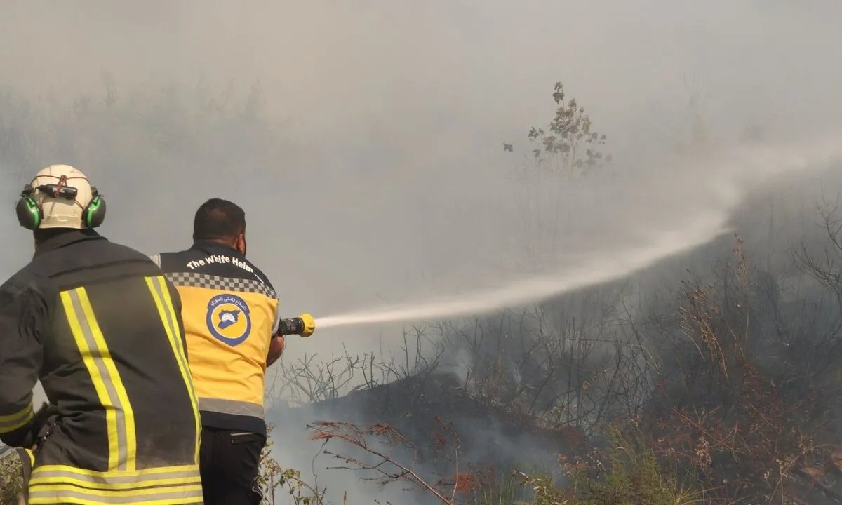 لبنان ينضم إلى الجهود الدولية لمكافحة حرائق الساحل السوري