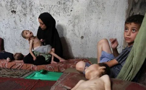 خبراء إسرائيليون يحذرون: استمرار التصعيد في غزة يعمق عزلة إسرائيل ويدفع نحو الاعتراف بفلسطين