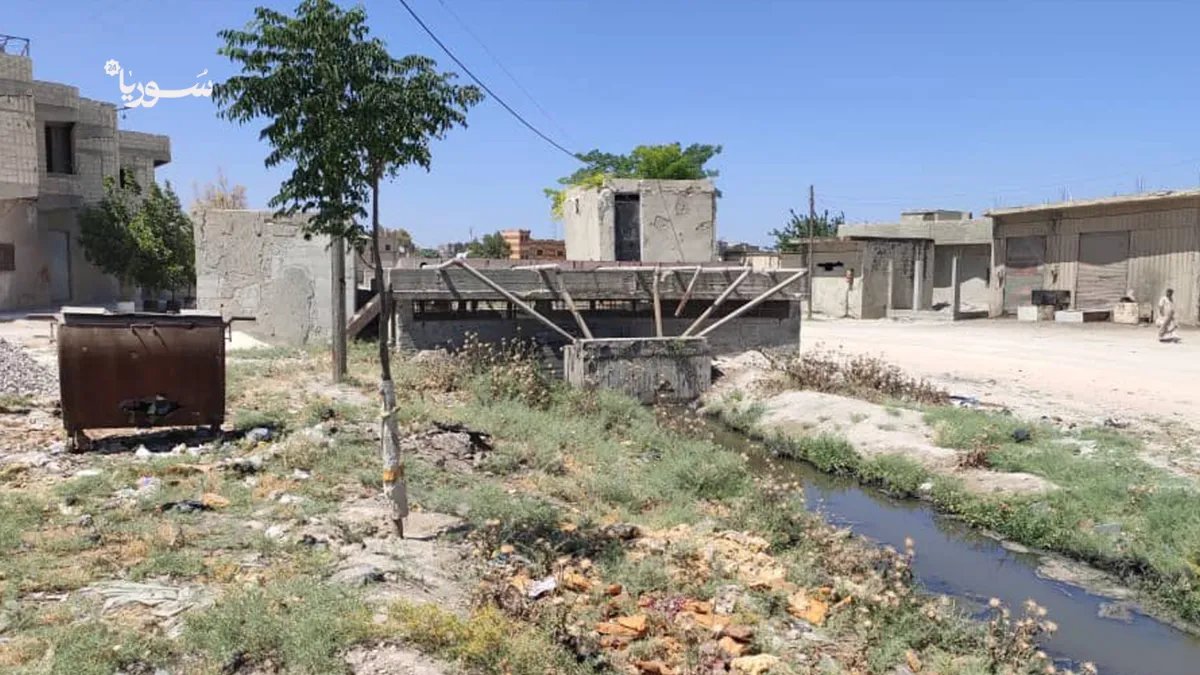 تلبيسة تستغيث: تسرّب الصرف الصحي يهدد الأراضي الزراعية وينذر بكارثة صحية وبيئية