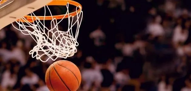 الحرية السوري يعزز صفوفه بلاعبين من ألمانيا والسويد ومدرب خبير يقود الفريق