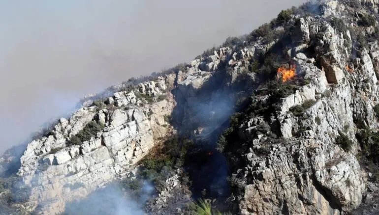 فرق الإطفاء تحاصر حرائق الغاب في ثلاث بؤر رئيسية: جهود مكثفة للسيطرة