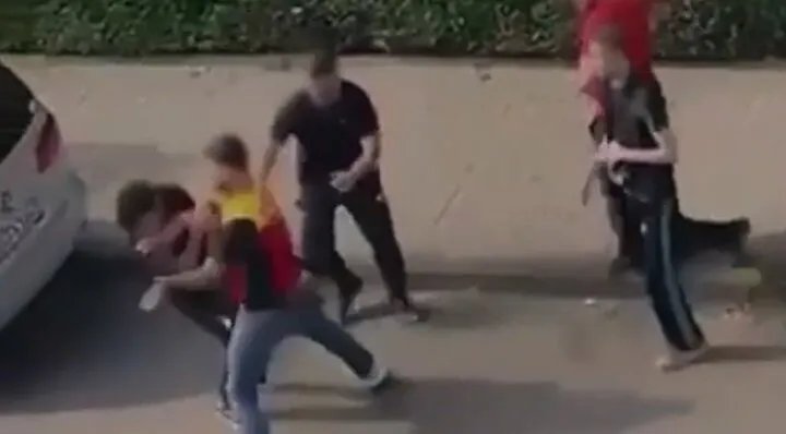 ألمانيا: سائق "دي إتش إل" يعتدي بوحشية على زوجين في فيديو يثير الغضب