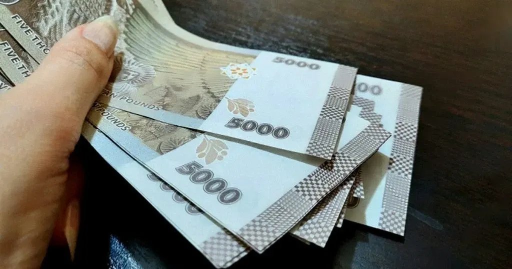 "شام كاش": هل ينجح التطبيق الحكومي في تنظيم الرواتب أم يزيد الأزمة؟ مخاوف من الشفافية والقرصنة