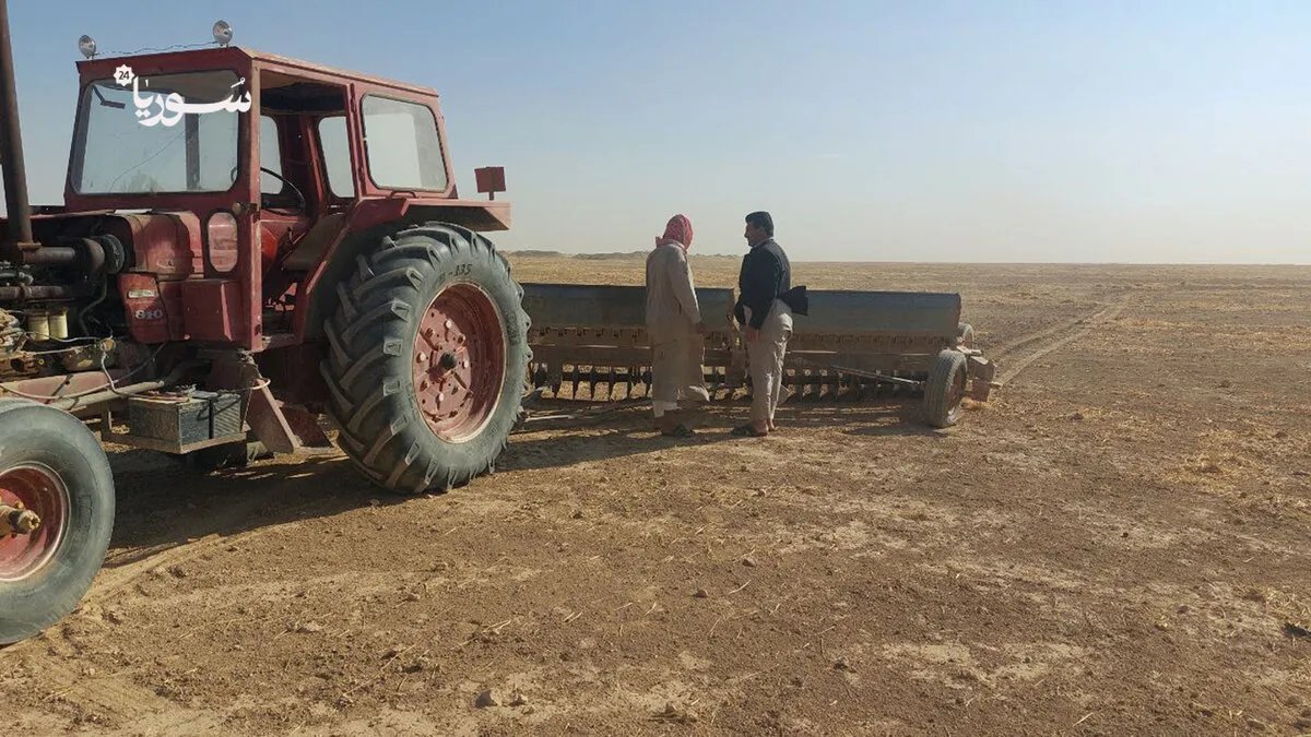 بين غلاء البذور والجفاف: قلق يساور مزارعي ريف الرقة