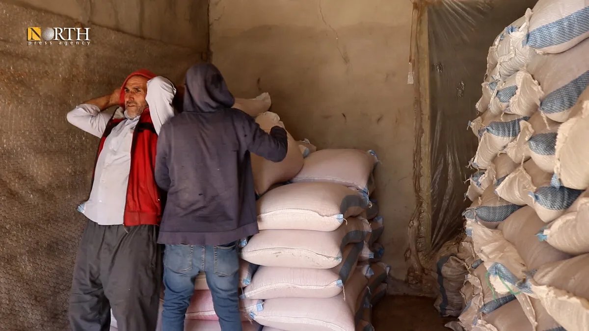 في كوباني: العتالة مهنة شاقة لكسب الرزق ومواجهة مشقة العمل