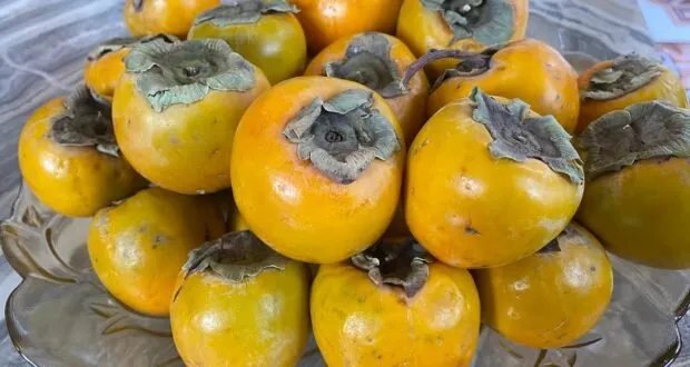 الخرما السورية: فاكهة الخريف بفوائد صحية وغذائية لا تحصى