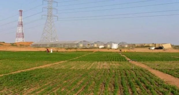 سوريا تنظر إلى الزراعة كبوابة للنهوض الاقتصادي عبر مبادرة مستقبل الاستثمار