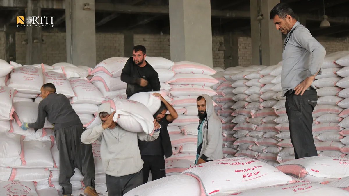 مزارعو كوباني يواجهون تحديات الموسم الجديد: دعم الإدارة الذاتية لا يكفي في ظل نقص البذور وارتفاع الأسعار