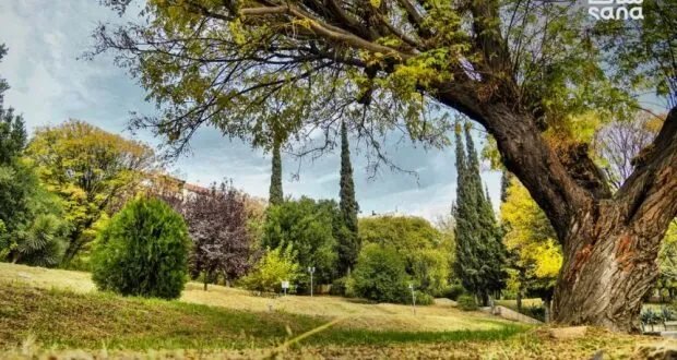 سوريا: طقس خريفي مستقر مع ارتفاع في درجات الحرارة يتجاوز المعدل الطبيعي
