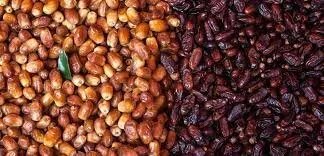 التمر الطازج والمجفف: أيهما الأفضل لصحتك وما هي الفروق بينهما؟