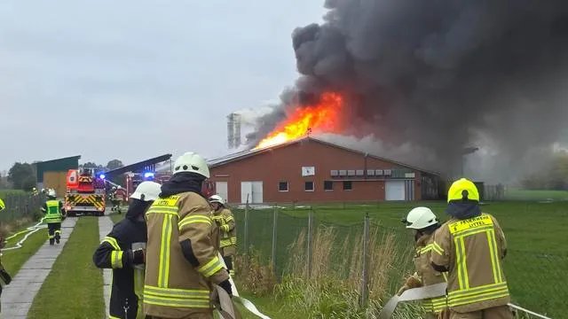 كارثة في ألمانيا: حريق هائل يودي بحياة 18 ألف دجاجة في مزرعة دواجن