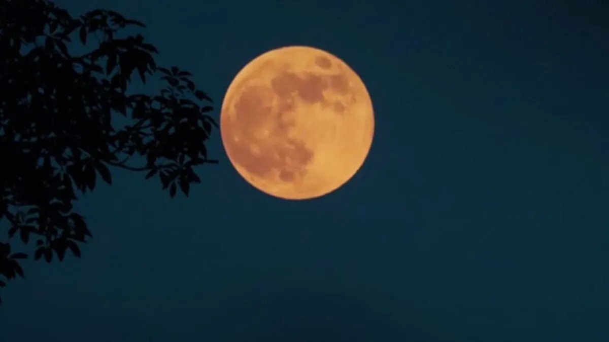 الجمعية الفلكية السورية توضح حقيقة "القمر العملاق" وتنفى علاقته بالكوارث