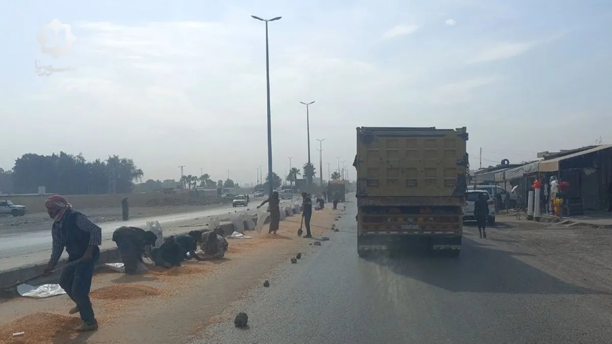 الرقة: استجابة لتقرير "سوريا 24".. تحرك لمعالجة أزمة تجفيف الذرة وتخفيف معاناة المزارعين