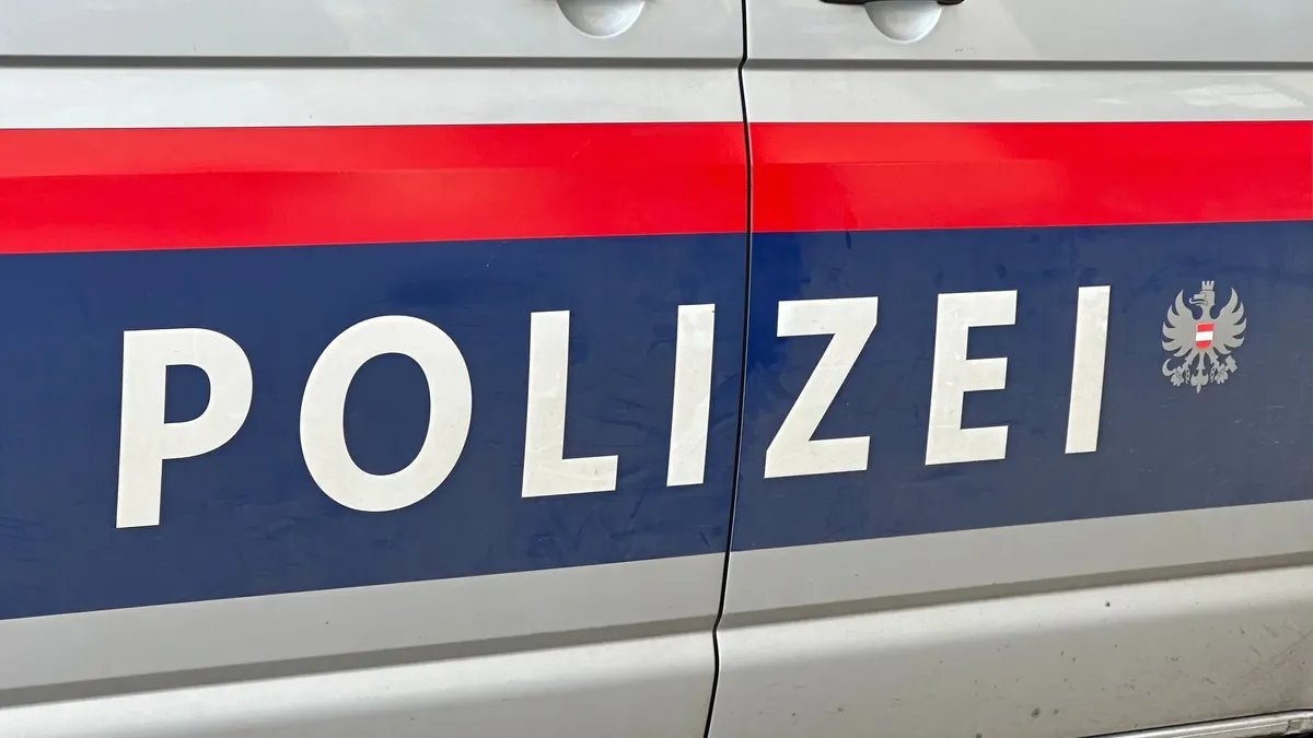 فاجعة في النمسا: أم تقتل ابنتها الرضيعة عن طريق الخطأ أثناء الرجوع بالسيارة