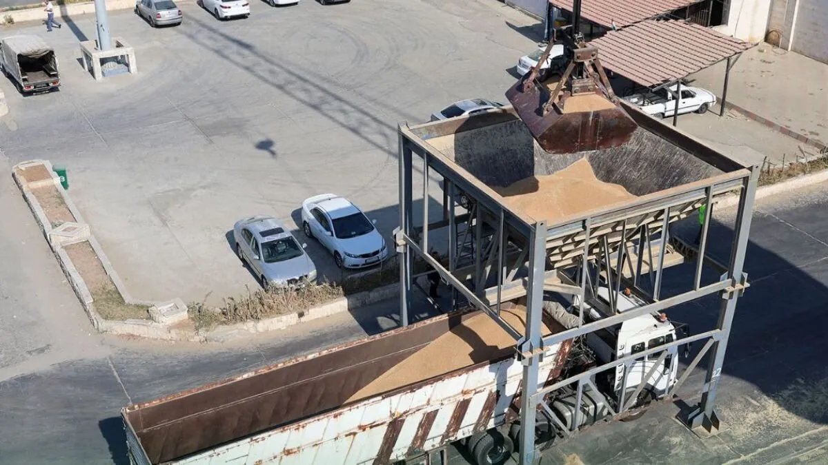 غموض حول استيراد القمح الروسي إلى سوريا: هل تعيق العقوبات وصوله؟