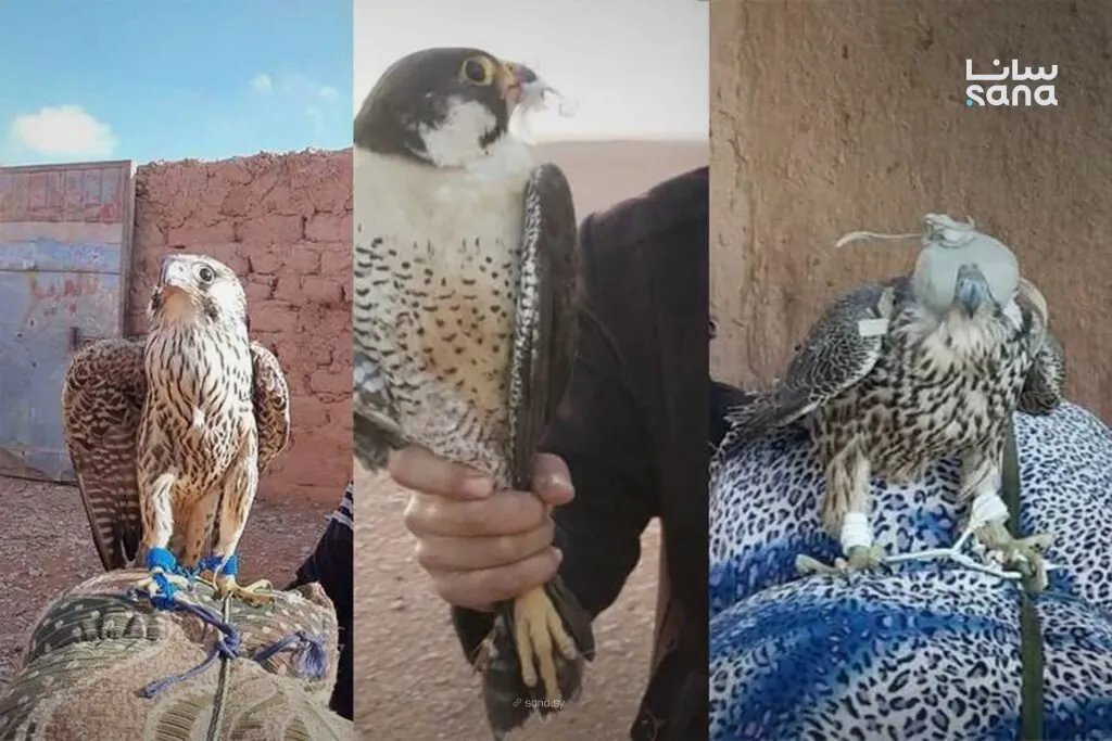 سوريا تترقب: الكحل العربي و"البشت" الرجالي في طريقهما إلى قائمة اليونسكو للتراث اللامادي