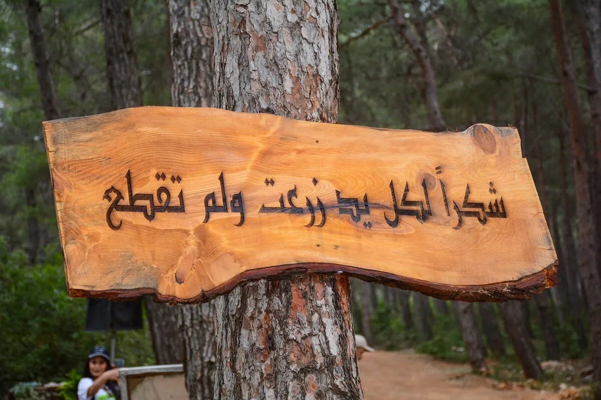 مفارقة في دمشق: البلدية تمنع زراعة الأشجار أمام المنازل وتتجاهل التعديات على الأرصفة من قبل أصحاب المحال!