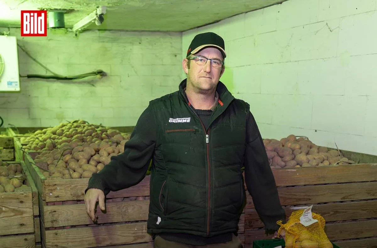 في ألمانيا: مزارع يضطر لإتلاف 400 طن من البطاطا بسبب وفرة المحصول وانهيار الأسعار
