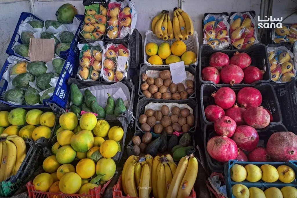 تقرير مصور: أسعار الفواكه والخضراوات في سوق جمالة بكفرسوسة بدمشق اليوم