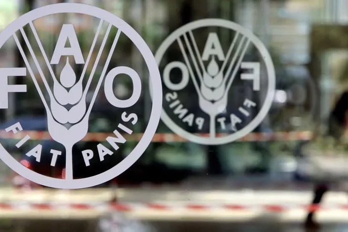الفاو تحذر: فاتورة استيراد الغذاء العالمية تقفز إلى 2.22 تريليون دولار في 2025