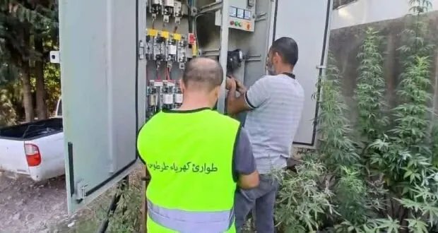 طرطوس: جهود مكثفة لشركة الكهرباء لتعزيز استقرار الشبكة وتلبية احتياجات السكان