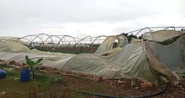 أضرار جسيمة: تنين بحري يلحق خسائر بـ 51 بيتاً بلاستيكياً في سهل ميعار شاكر بطرطوس