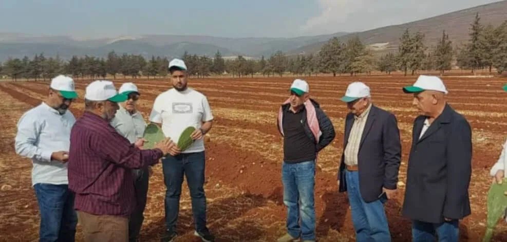 أكساد تطلق مشروعًا لنشر زراعة الصبار الأملس في لبنان وتنشئ حقلًا للأمهات في كفردان