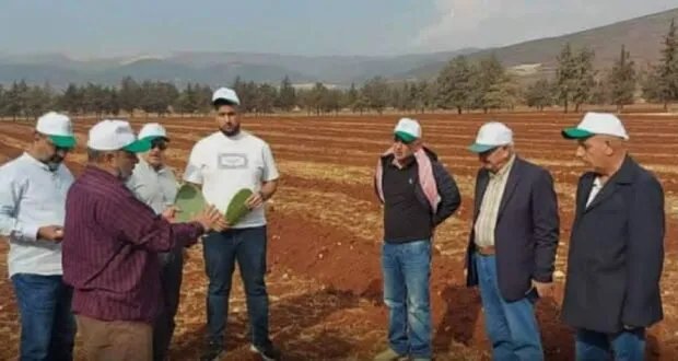 «أكساد» تطلق مشروع زراعة الصبار الأملس في لبنان وتؤسس حقلاً نموذجياً في كفردان