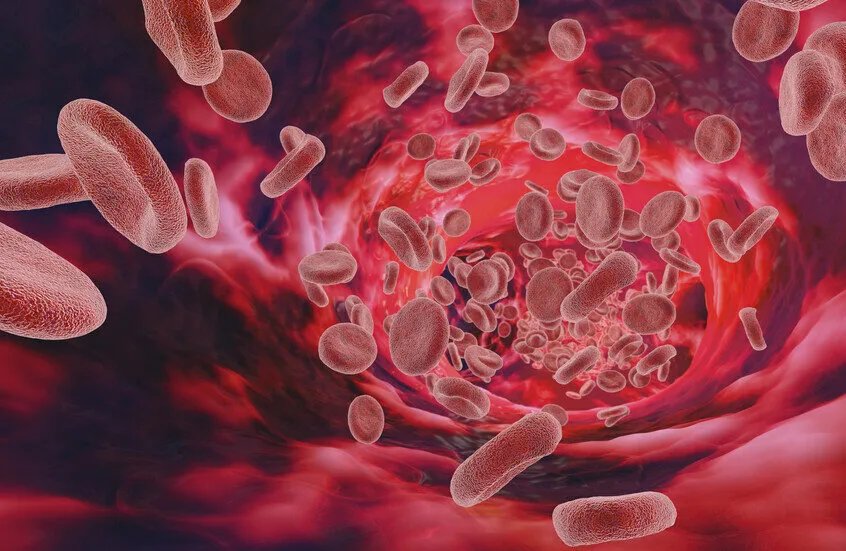 دراسة تكشف: تجمعات دموية غير طبيعية لدى مرضى كوفيد طويل الأمد وعلاقتها بمصائد العدلات