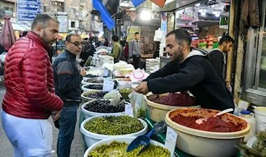موسم زيتون الساحل السوري يواجه كارثة: الجفاف والانفلات يهددان الإنتاج ويحولان البساتين إلى رماد