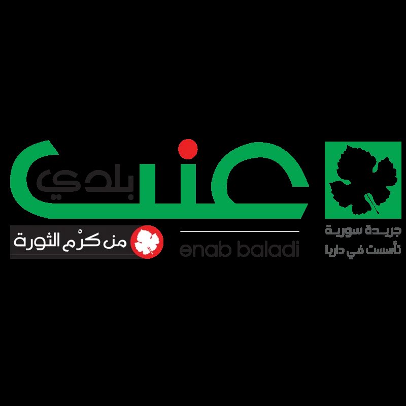 تحت ستار الثورة: سيكولوجية "الشبيحة الجدد" في سوريا