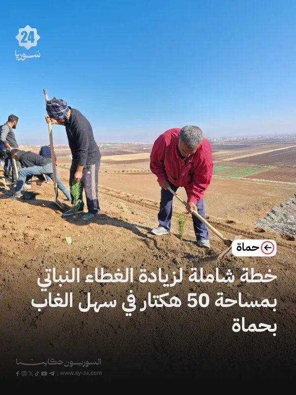 خطة طموحة لزيادة المساحات الخضراء في سهل الغاب بحماة: تحريج 50 هكتاراً